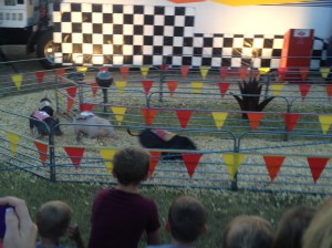 This Little Piggy Is Running for Oreos