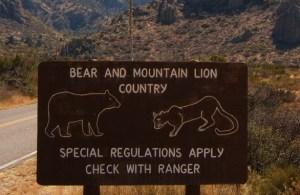 hahahaha...we're all gonna be eaten...