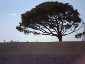  The Lone Pine:    Ironically, not the original pine after which the hill is named. This one was planted in honor of that Lone Pine that remained after the bloodiest battle in the entire campaign. 