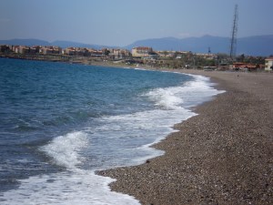 or should we go North?