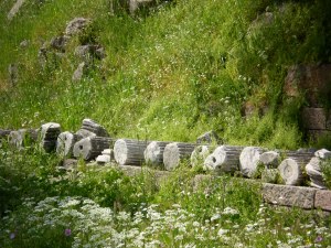On the road to the the Temple of Zeus