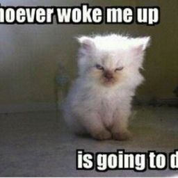 Sunday Comics #39: Mornings