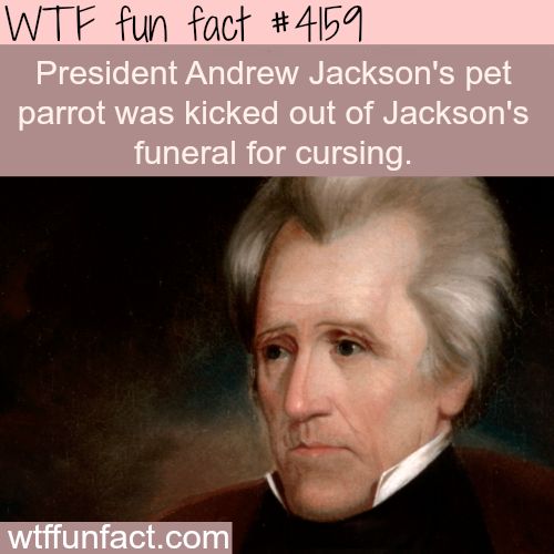 andrew jackson