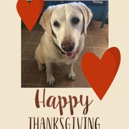 Gobble Gobble & A Whole Lotta Thanks